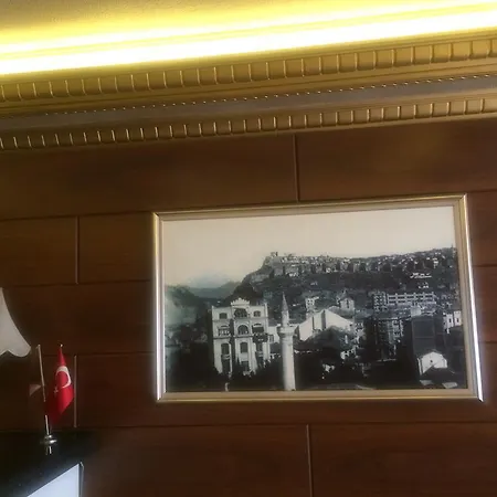 Berlitz Hotel Ancara