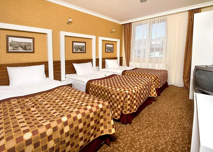 Hotel Berlitz Ankara